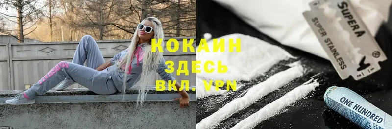 где найти   Железноводск  блэк спрут ссылки  COCAIN FishScale 