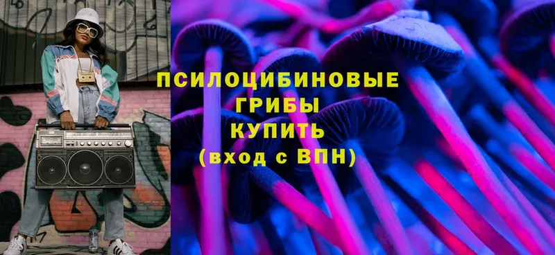 Псилоцибиновые грибы мухоморы  blacksprut зеркало  Железноводск 