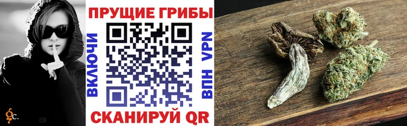 продажа наркотиков  Железноводск  Псилоцибиновые грибы Psilocybe 