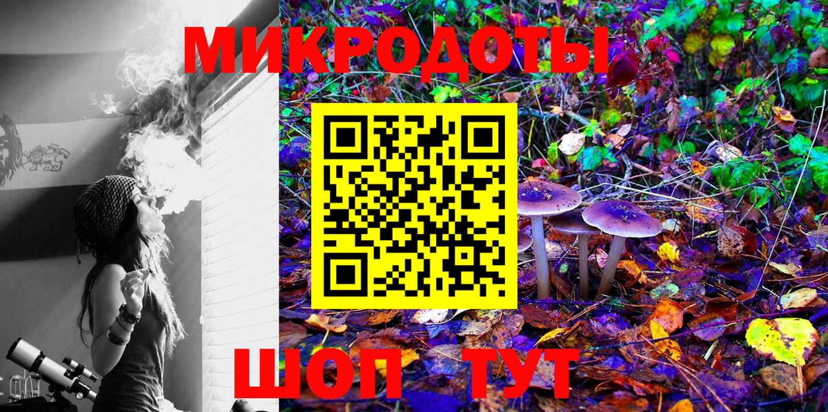 Галлюциногенные грибы Psilocybe  Галлюциногенные грибы MAGIC MUSHROOMS  где купить наркоту  Железноводск 