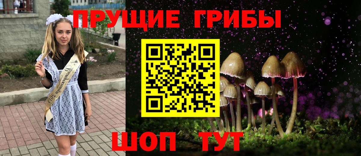 Железноводск  Псилоцибиновые грибы ЛСД  Вход с VPN 