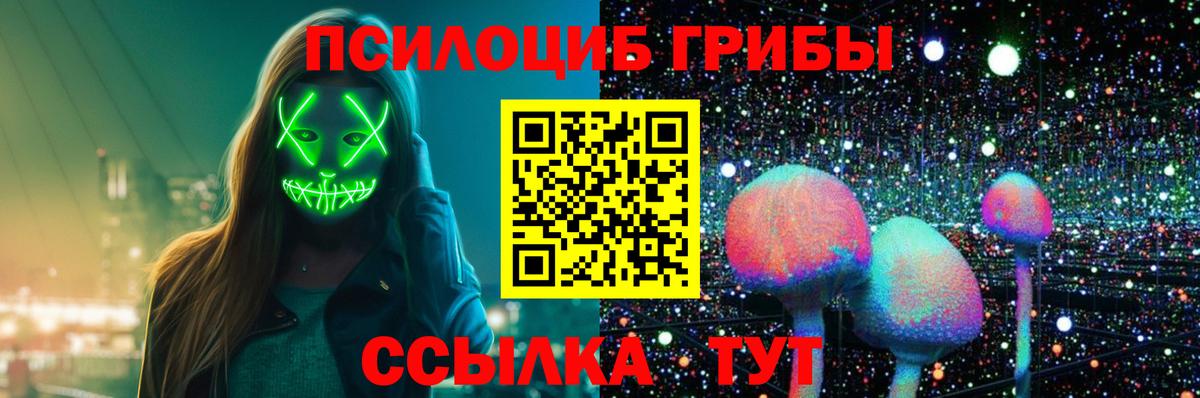 Псилоцибиновые грибы Cubensis Железноводск