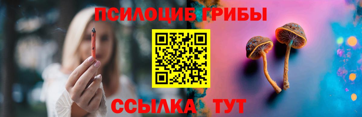 Галлюциногенные грибы Cubensis Железноводск
